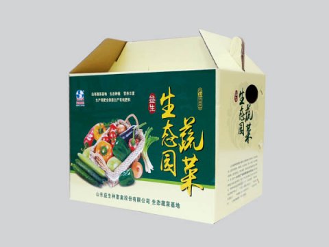 包裝印刷-瓦楞彩盒類(lèi)04