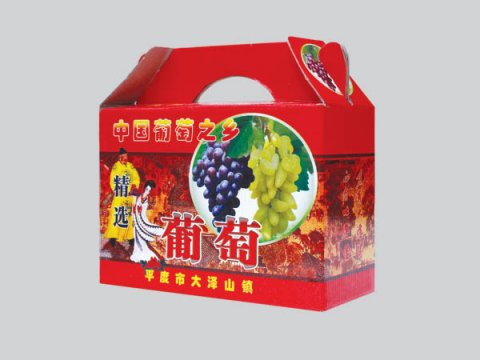 包裝印刷-瓦楞彩盒類(lèi)12